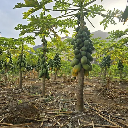 La Aldea فندق